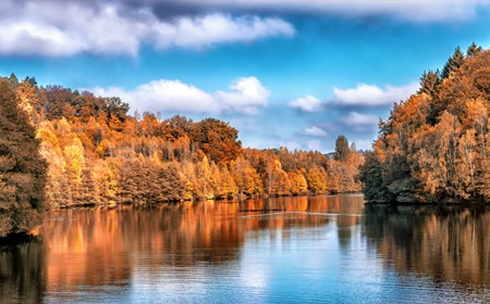 金年会电子股份有限公司新增SMT、TP生产工艺项目竣工环境保护验收报告公示